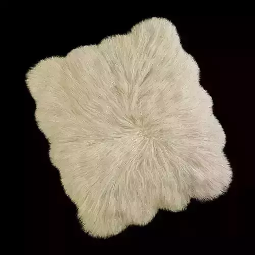 Skin sheepskin 01