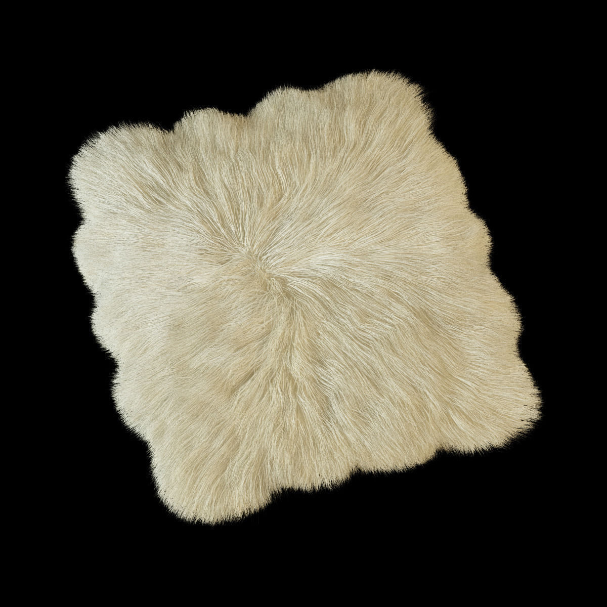 Skin sheepskin 01 3D model_1