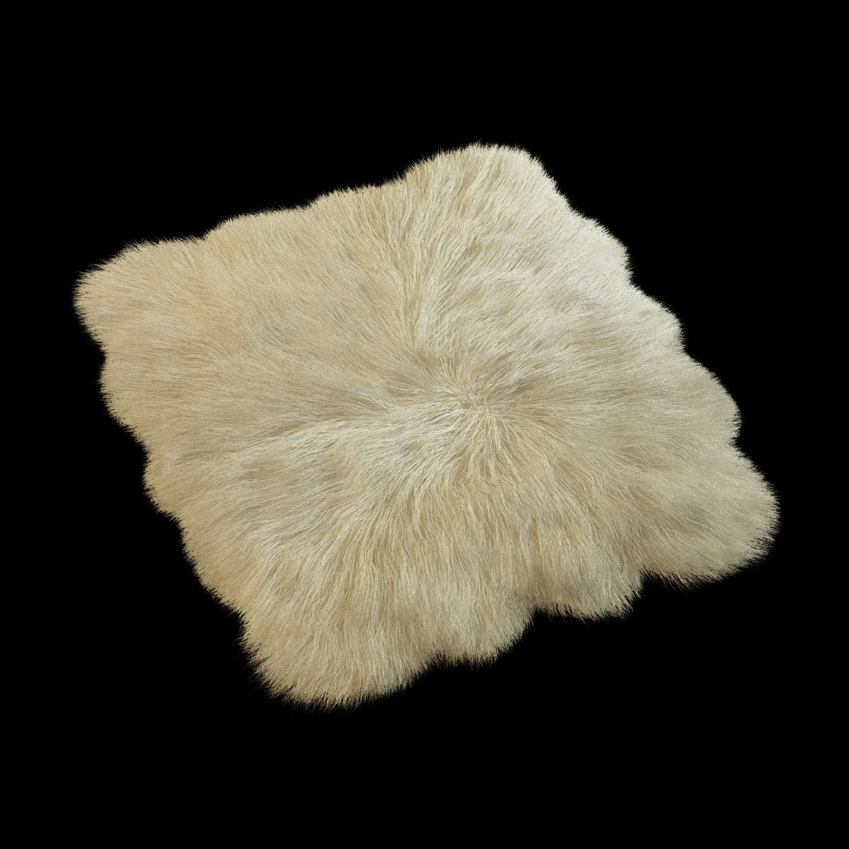 Skin sheepskin 01 3D model_2