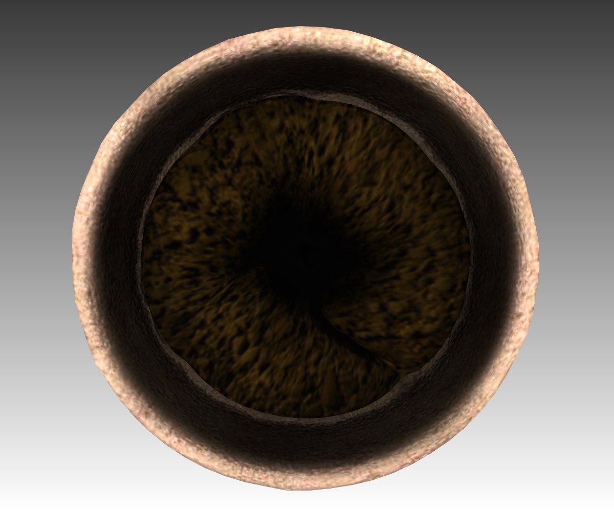 Flower Pot full with soil Free low-poly 3D model_4