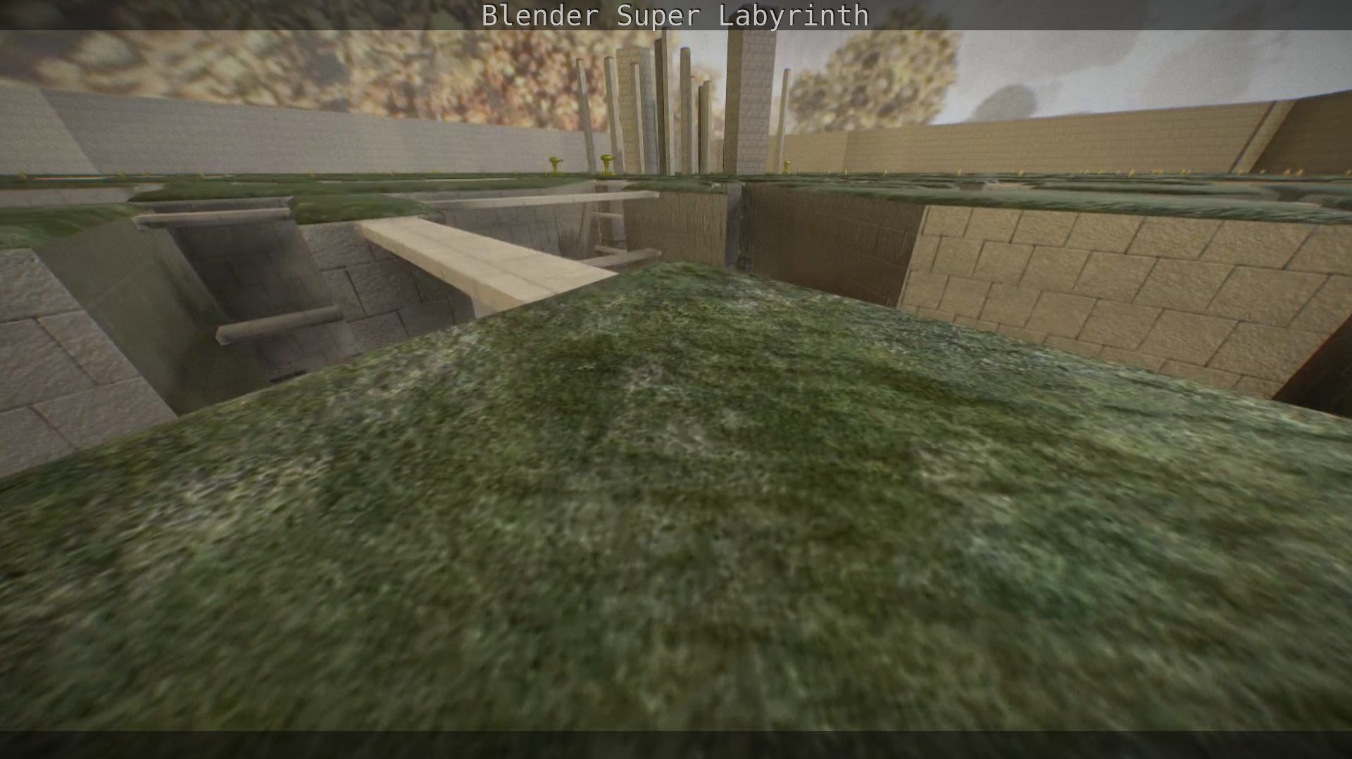Blender Super Labyrinth Blender Game Engine Free low-poly 3D model_121