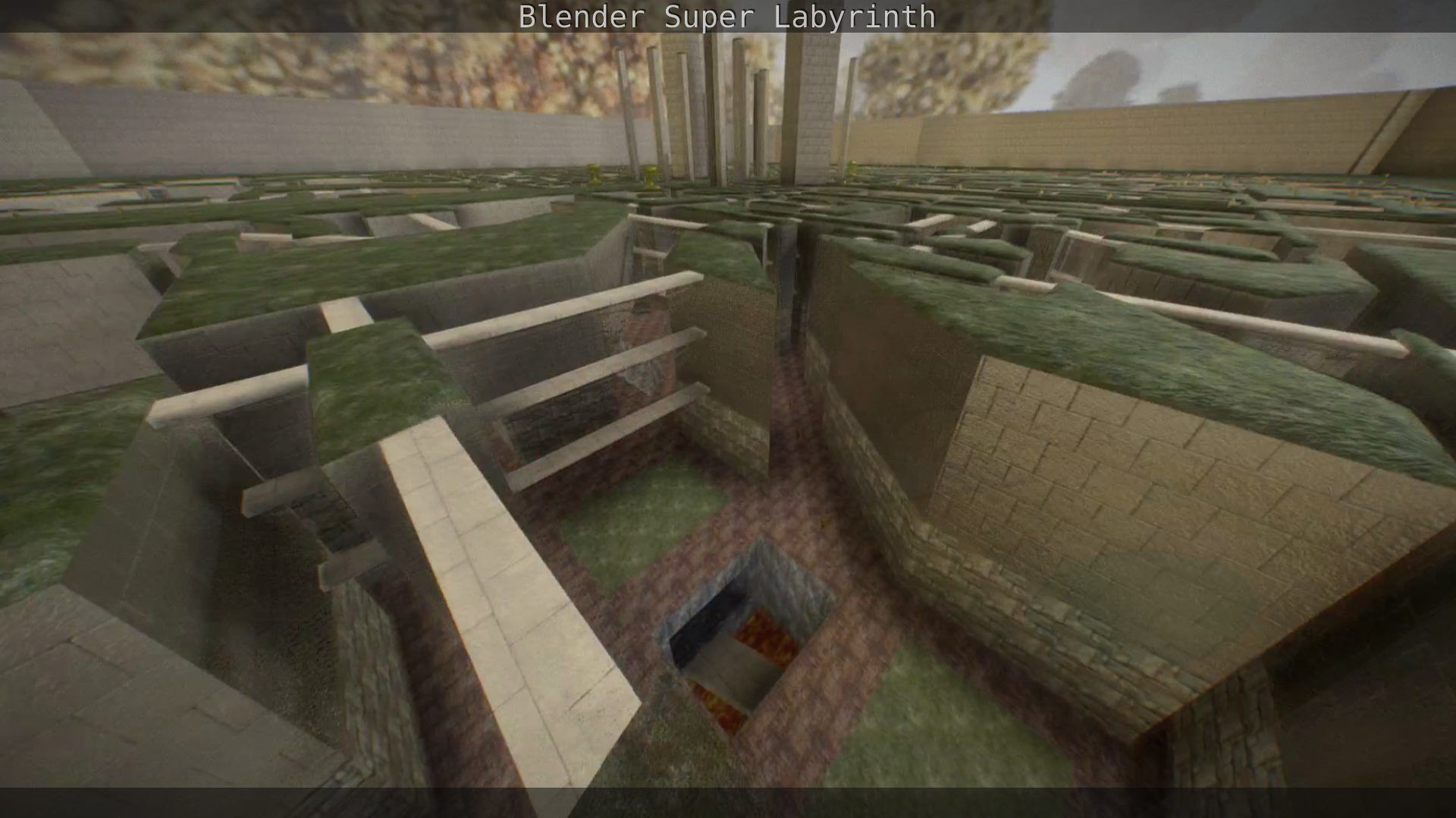 Blender Super Labyrinth Blender Game Engine Free low-poly 3D model_117