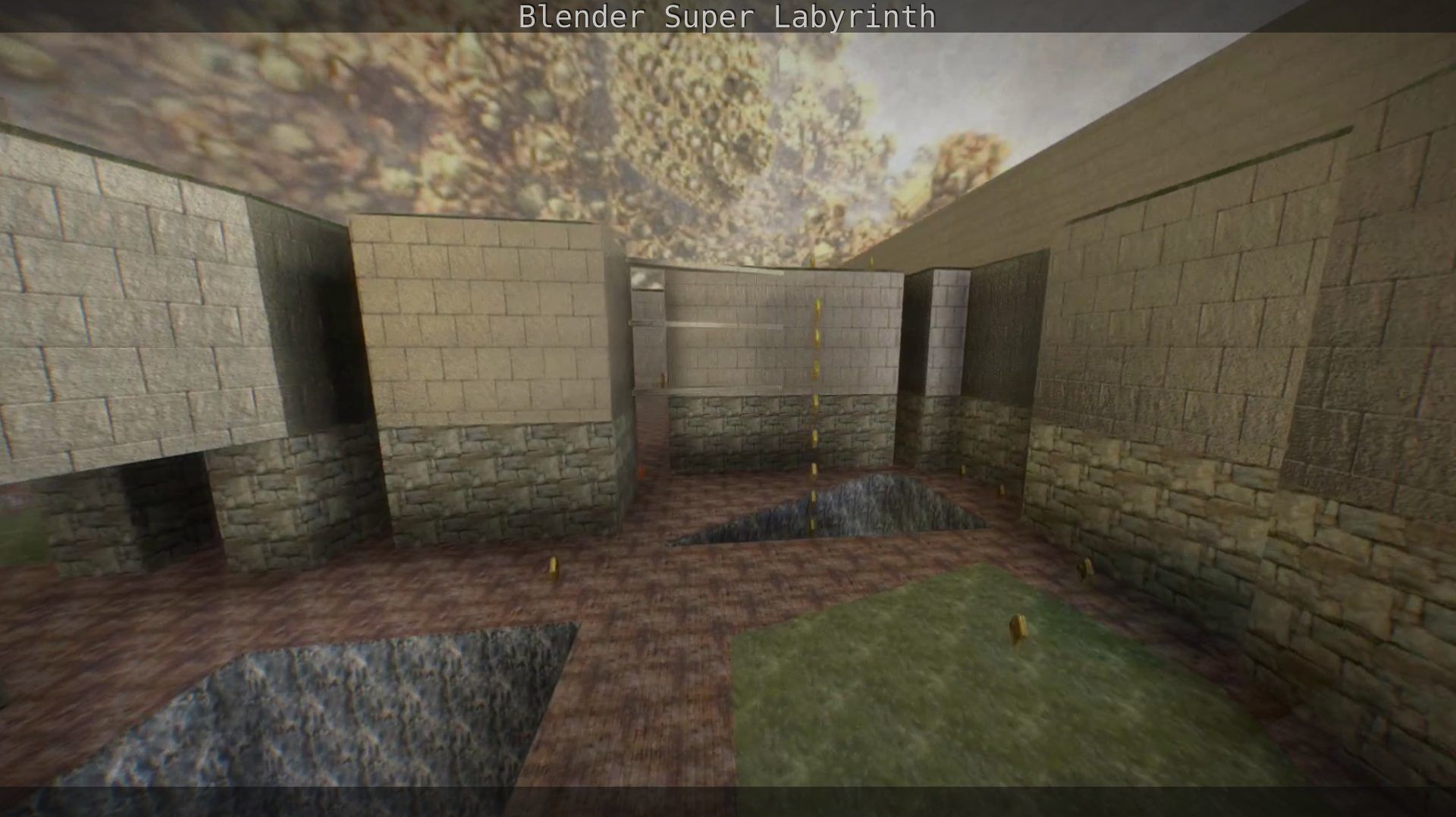 Blender Super Labyrinth Blender Game Engine Free low-poly 3D model_72