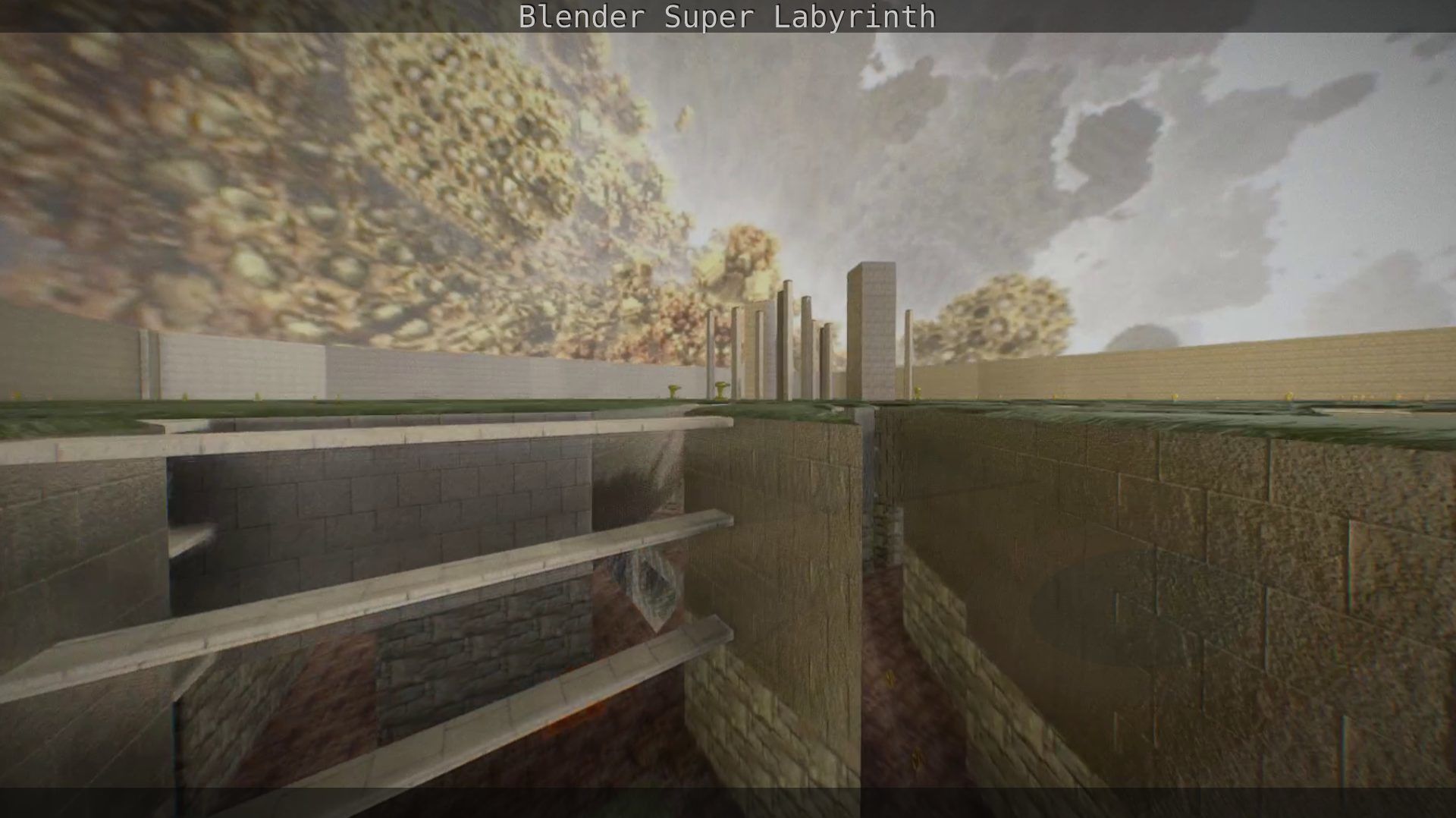 Blender Super Labyrinth Blender Game Engine Free low-poly 3D model_147