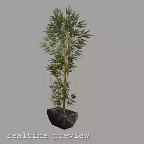 Bamboo Plant in Pot Low Poly
