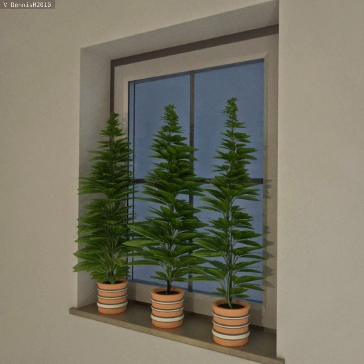 Window Plant Free 3D model_9