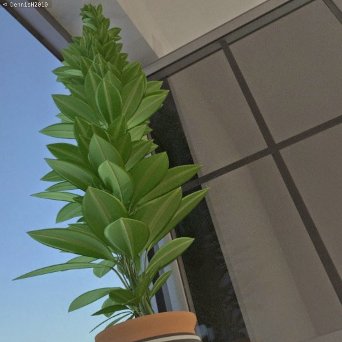 Window Plant Free 3D model_8