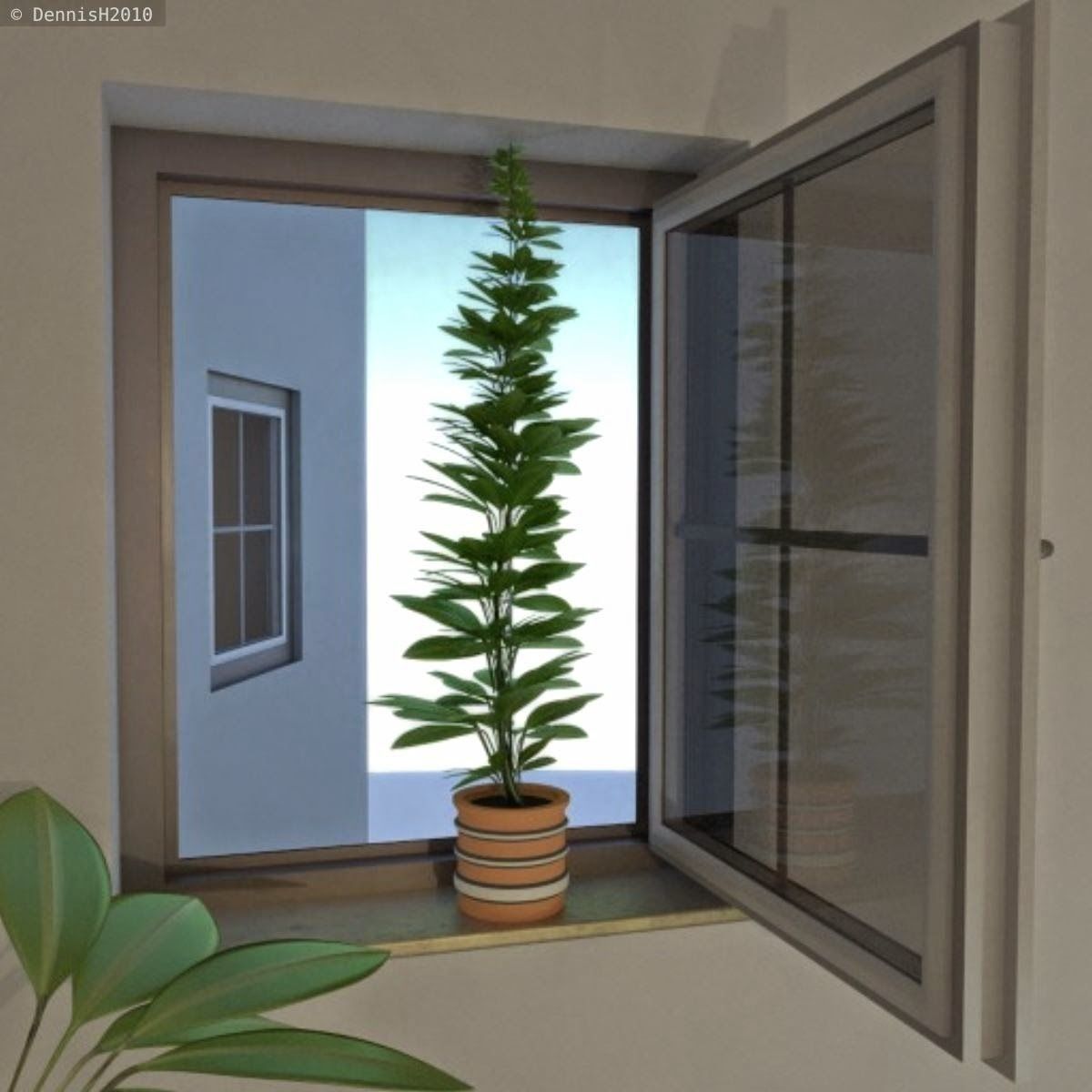 Window Plant Free 3D model_7