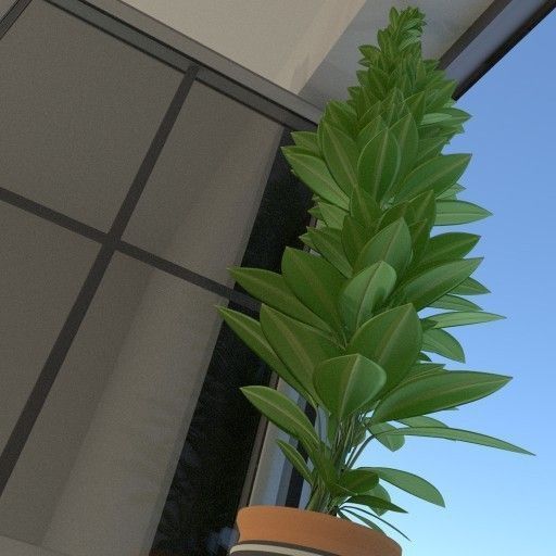 Window Plant Free 3D model_3