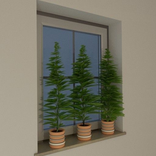 Window Plant Free 3D model_4
