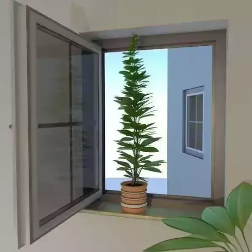 Window Plant Free 3D model