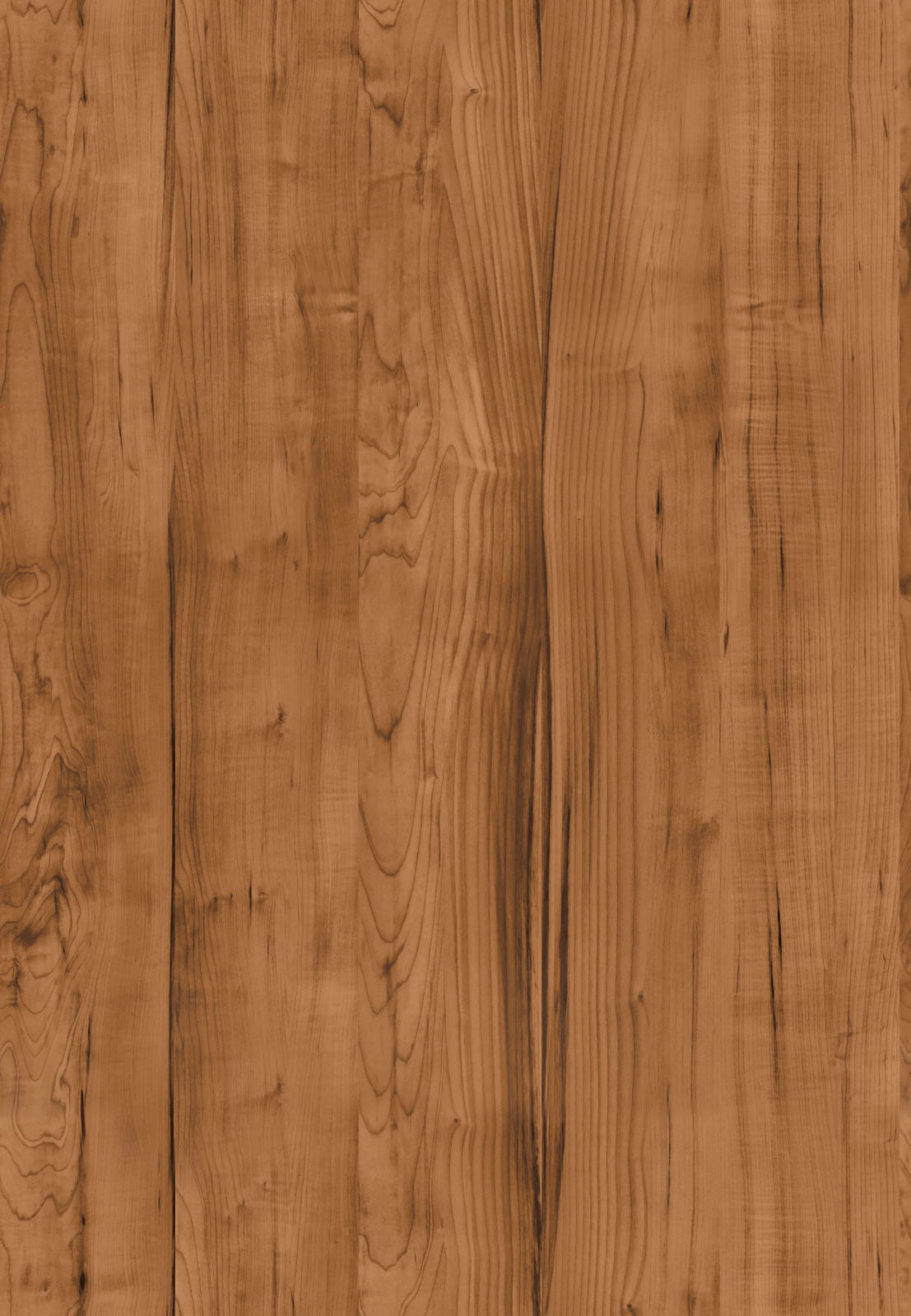 Living Wall Plant - Staghorn Fern 3D model_5