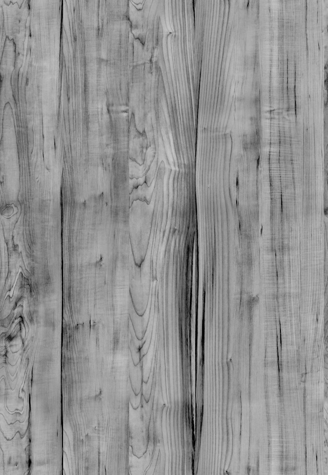 Living Wall Plant - Staghorn Fern 3D model_6