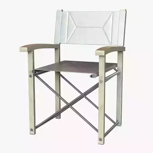 director chair
