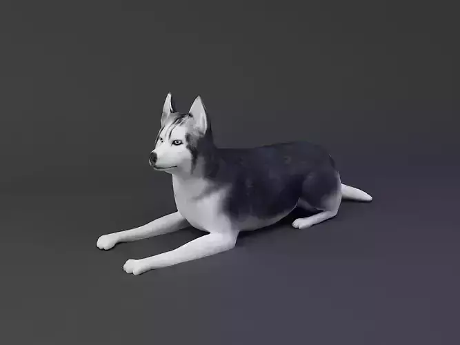 Siberian Husky 3D printable Dog model 3D print model
