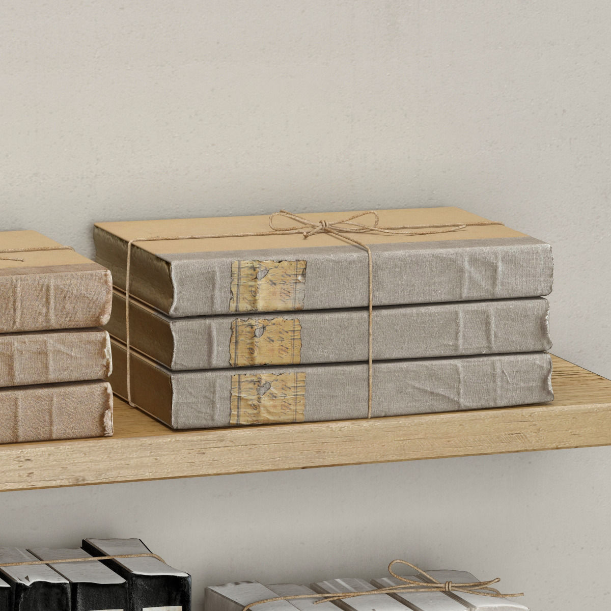 TOMES COLLECTION 3D model_4