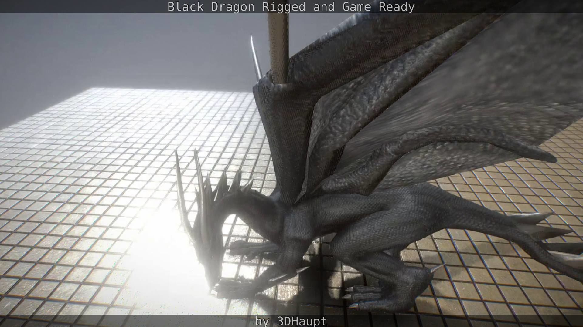 Black Dragon Rigged and Game Ready Low-poly 3D model_27