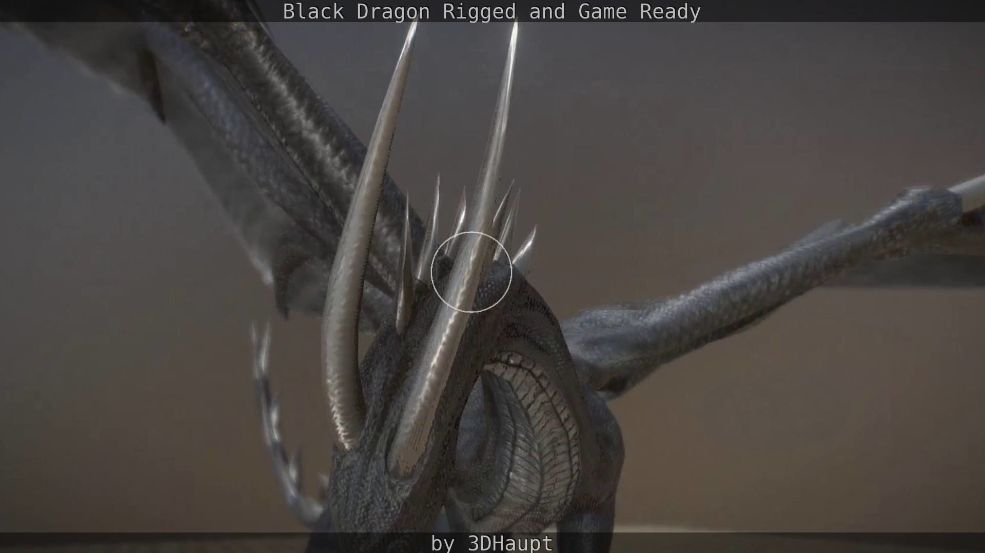 Black Dragon Rigged and Game Ready Low-poly 3D model_39