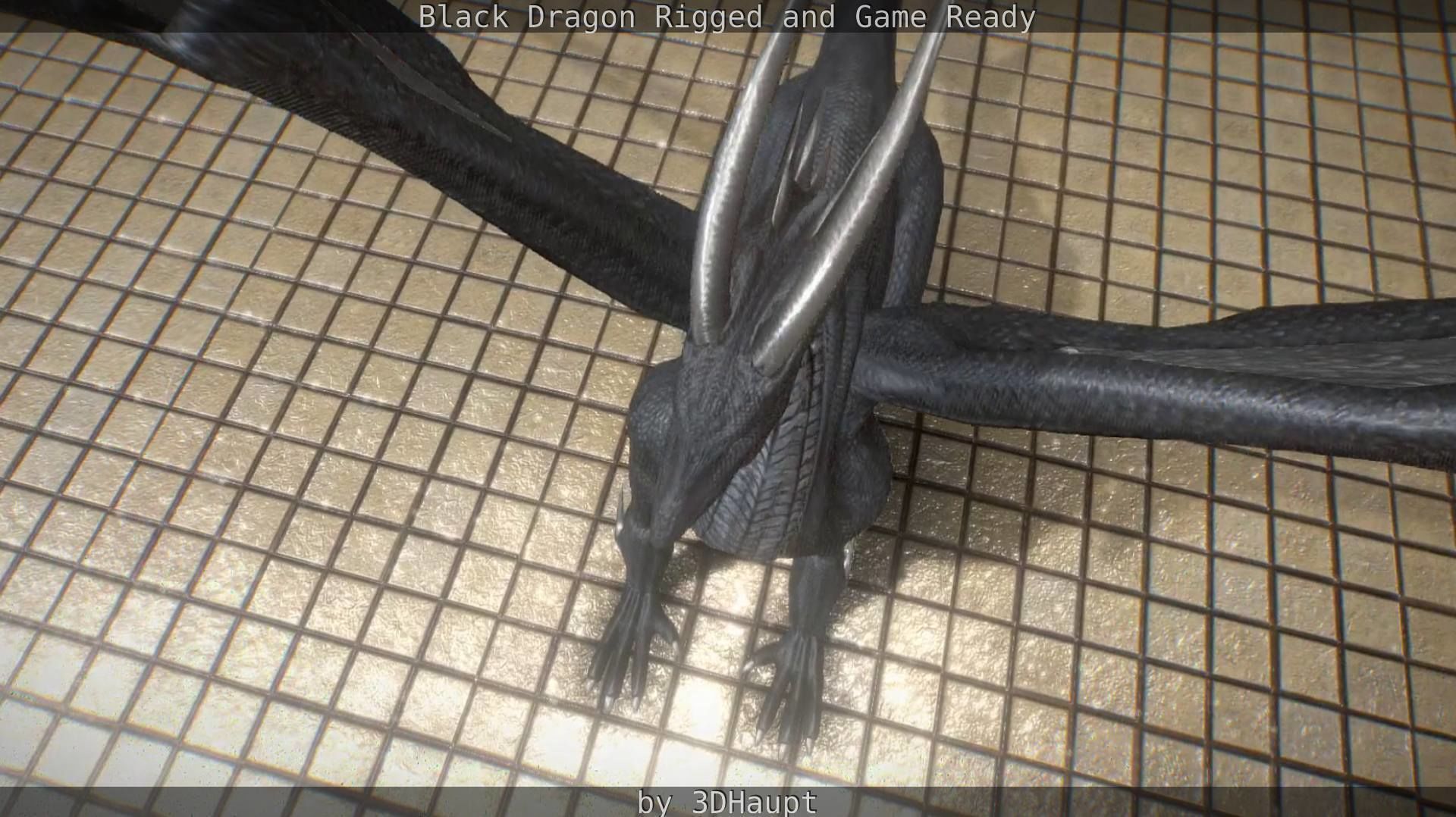 Black Dragon Rigged and Game Ready Low-poly 3D model_35