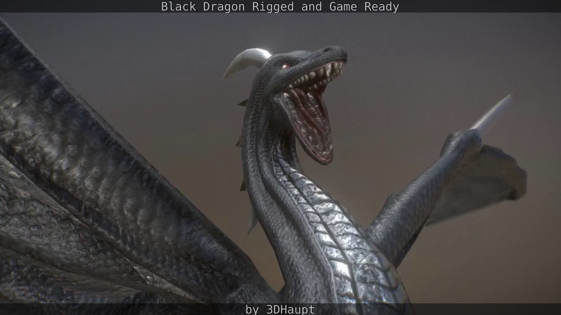 Black Dragon Rigged and Game Ready Low-poly 3D model_73