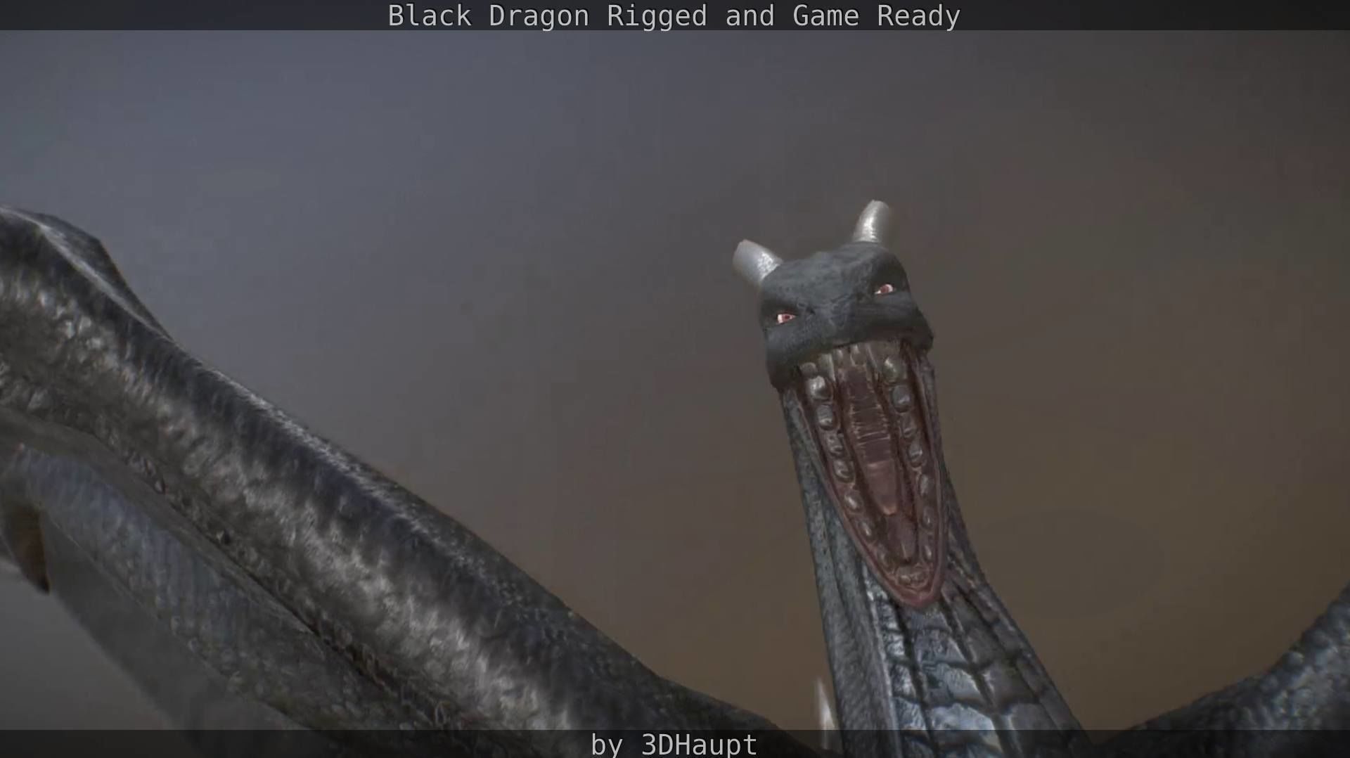 Black Dragon Rigged and Game Ready Low-poly 3D model_84