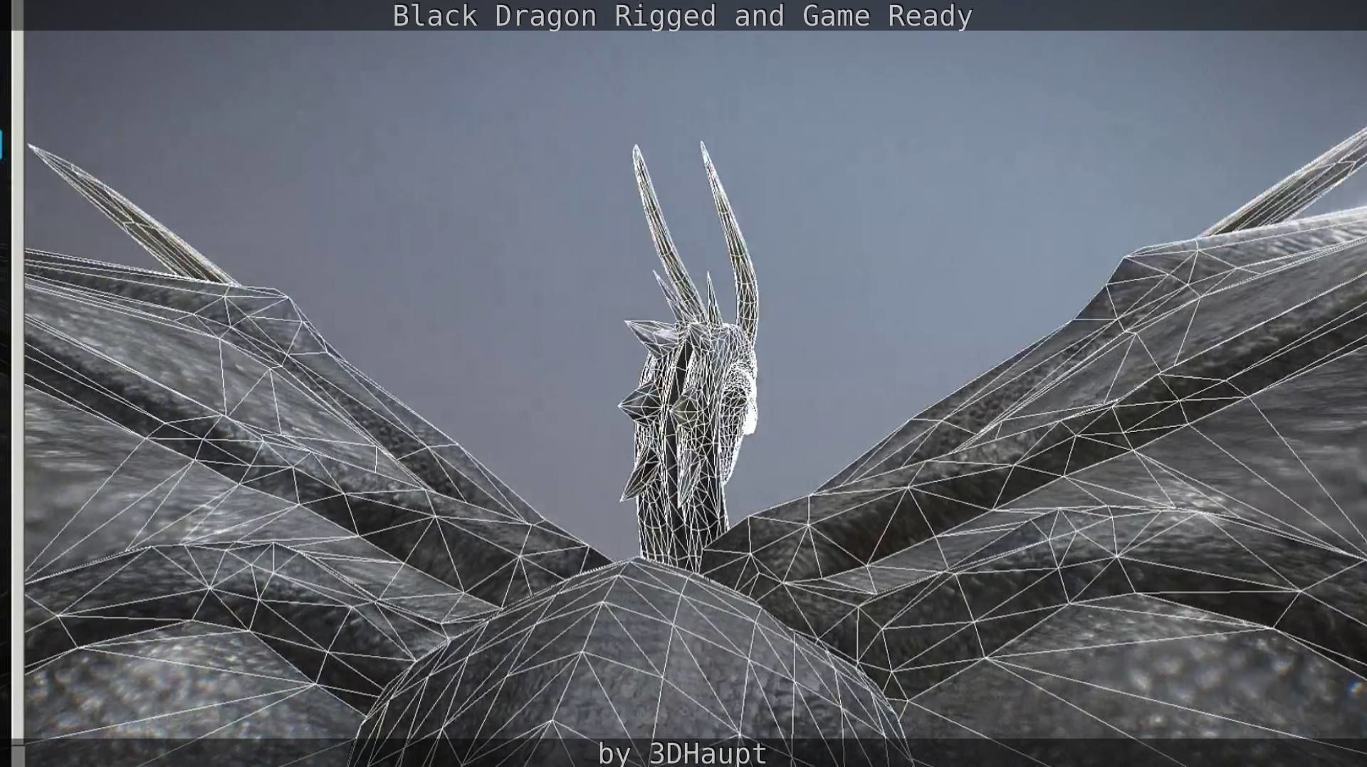 Black Dragon Rigged and Game Ready Low-poly 3D model_125