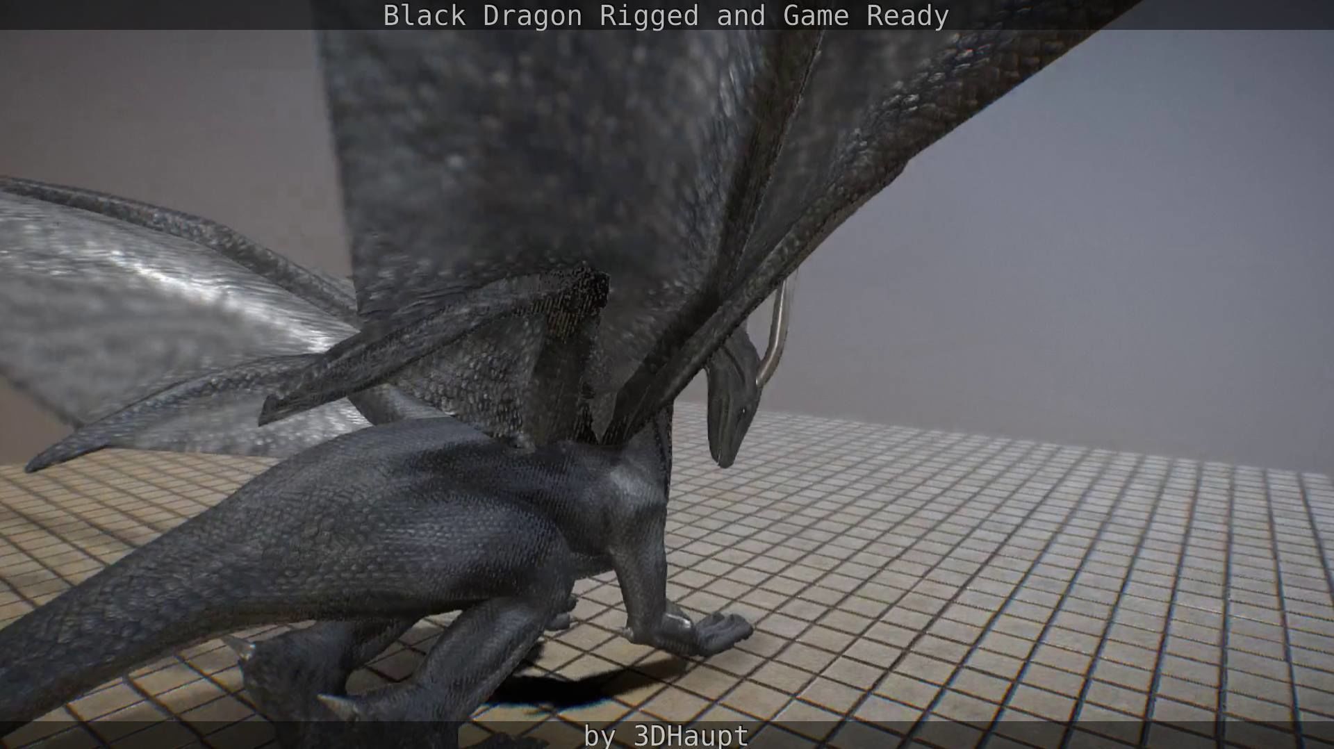 Black Dragon Rigged and Game Ready Low-poly 3D model_30