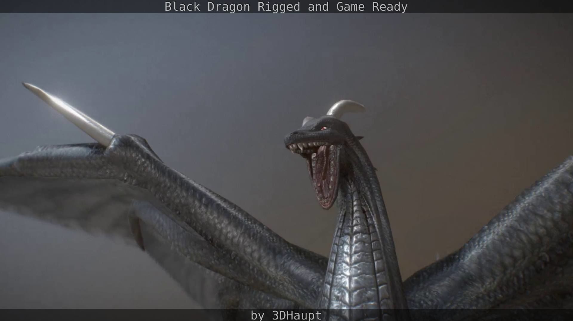 Black Dragon Rigged and Game Ready Low-poly 3D model_86