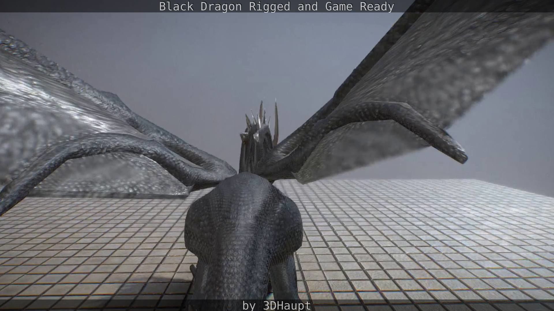 Black Dragon Rigged and Game Ready Low-poly 3D model_29