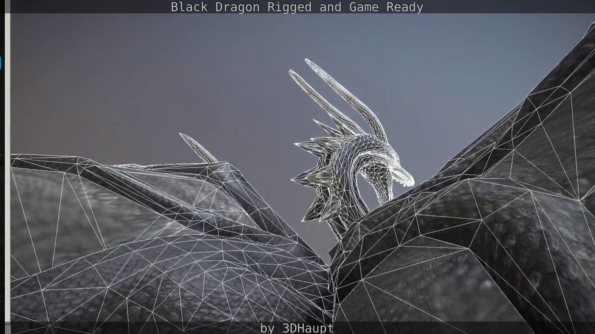 Black Dragon Rigged and Game Ready Low-poly 3D model_126
