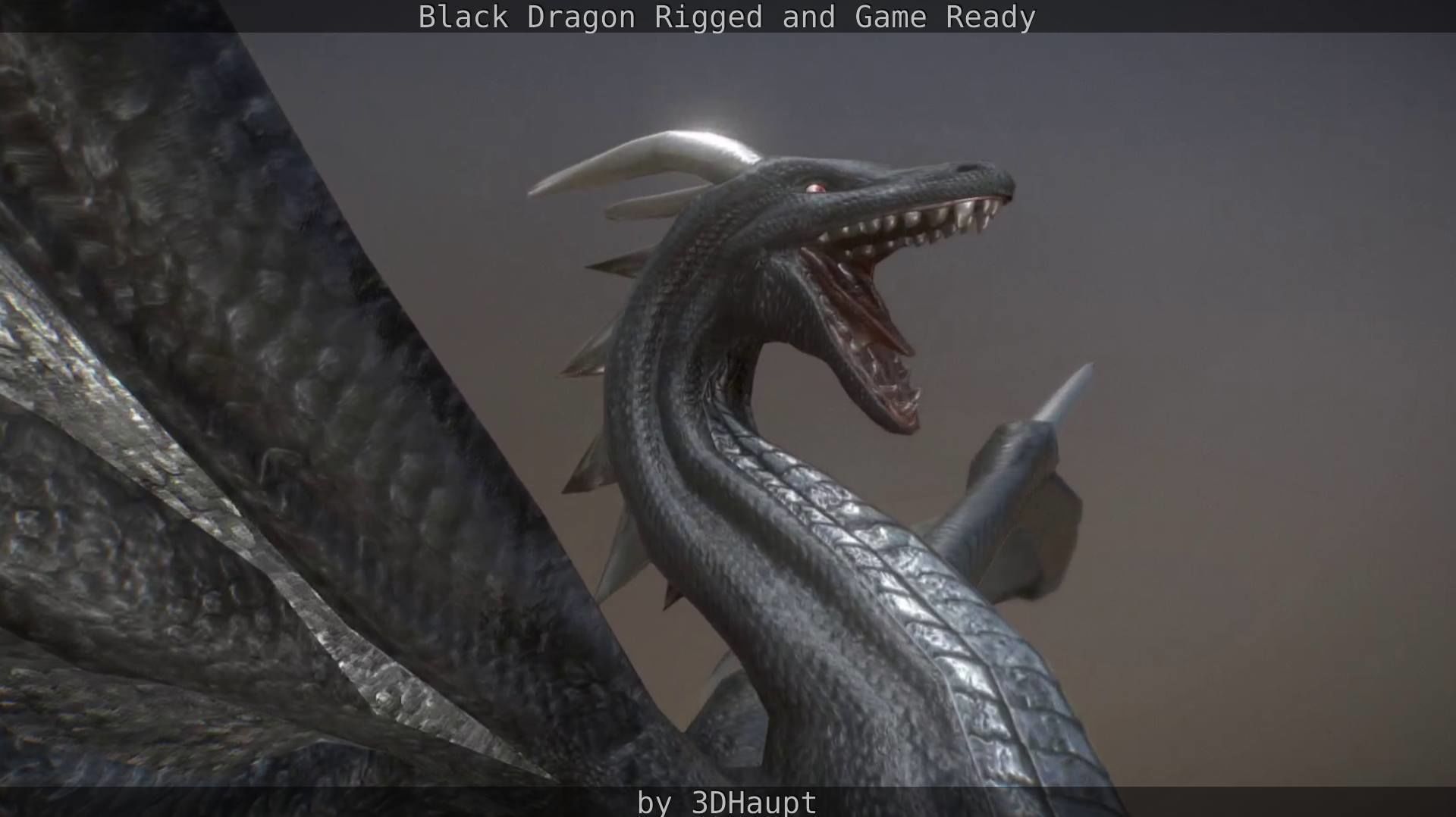 Black Dragon Rigged and Game Ready Low-poly 3D model_72