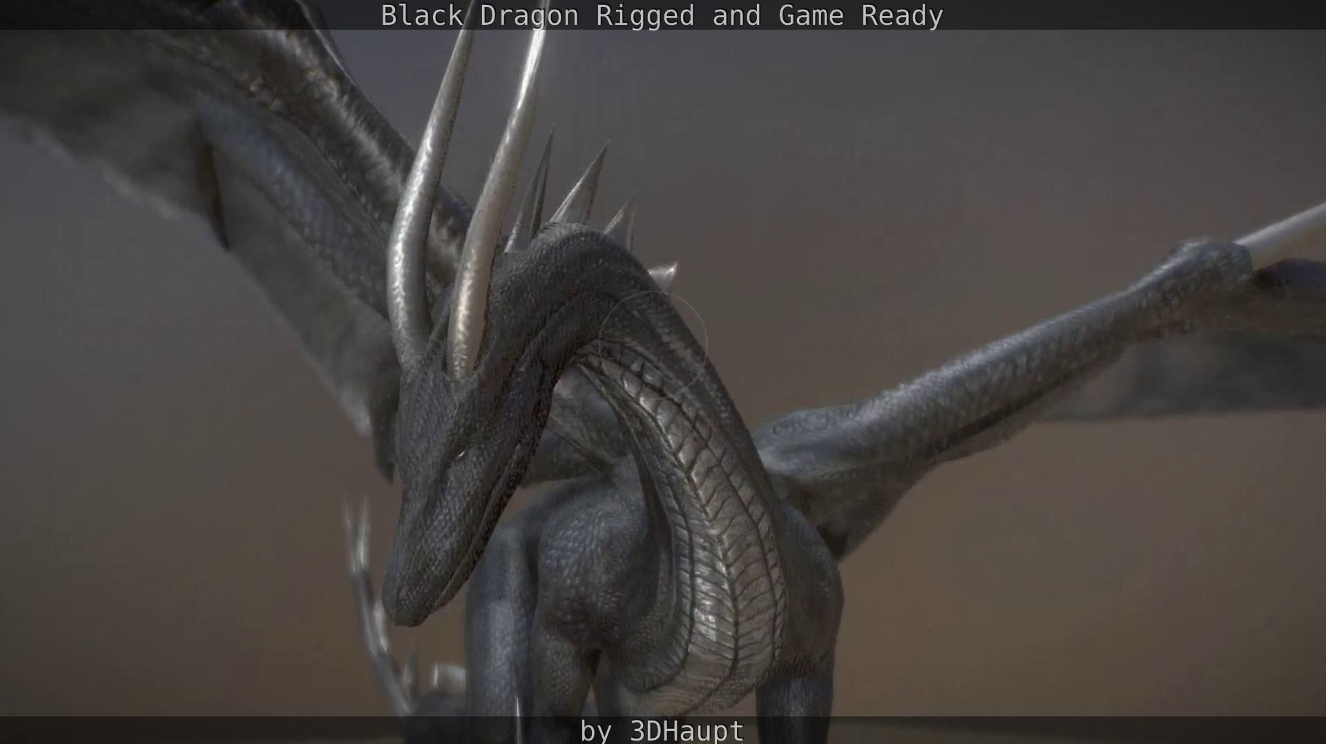 Black Dragon Rigged and Game Ready Low-poly 3D model_40