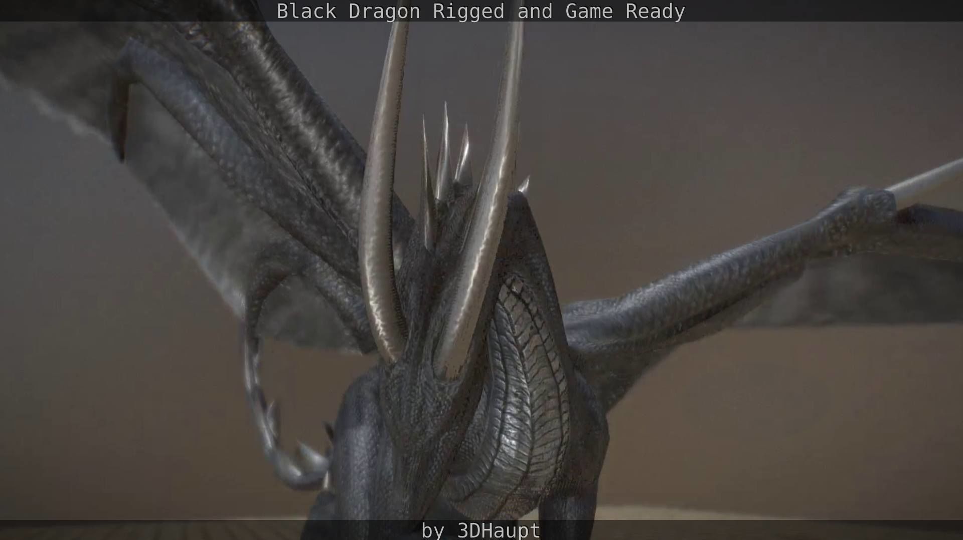 Black Dragon Rigged and Game Ready Low-poly 3D model_38