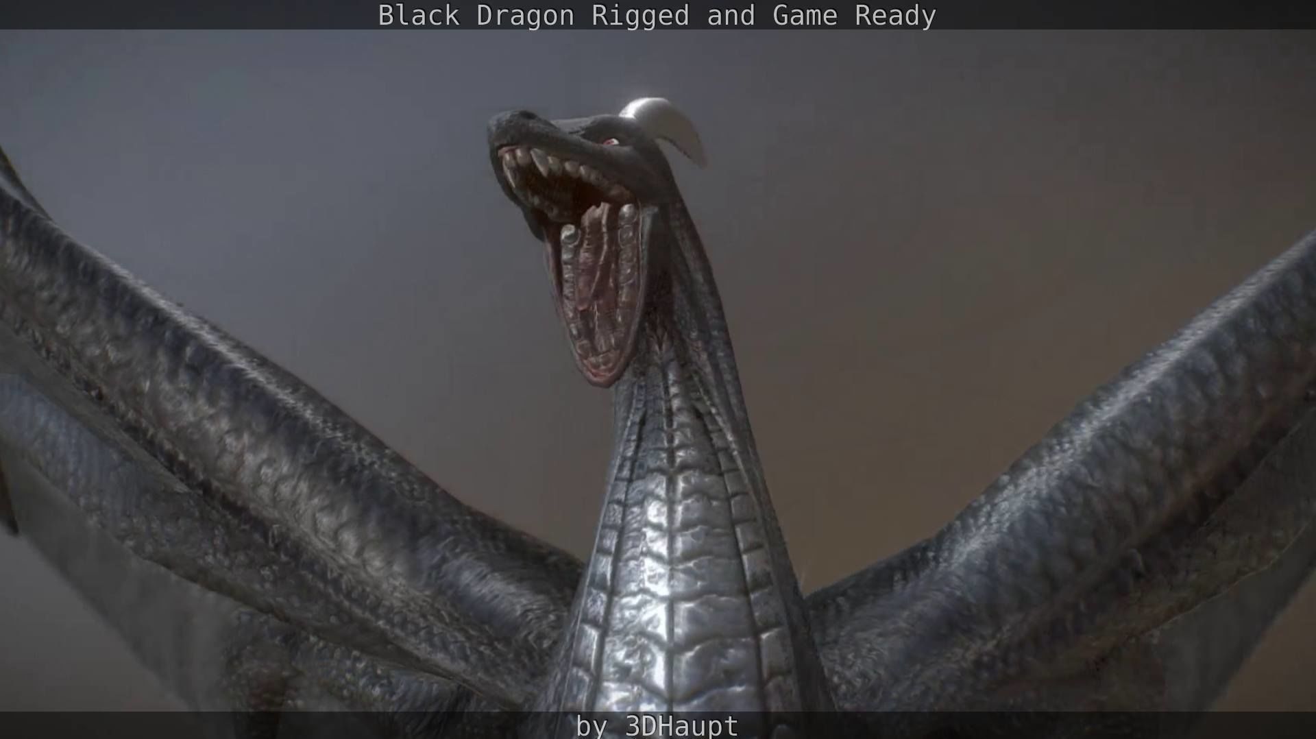 Black Dragon Rigged and Game Ready Low-poly 3D model_74