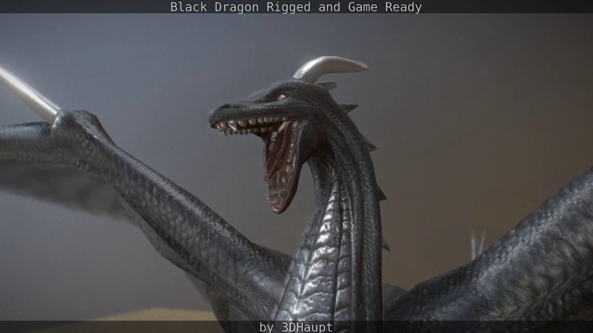 Black Dragon Rigged and Game Ready Low-poly 3D model_76
