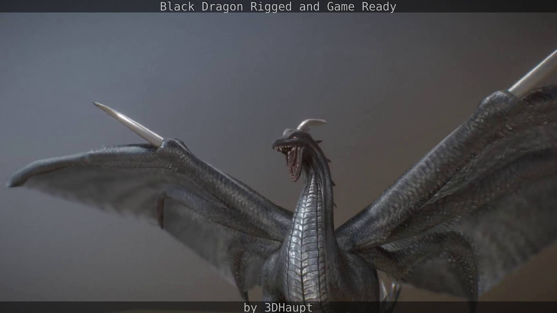 Black Dragon Rigged and Game Ready Low-poly 3D model_88