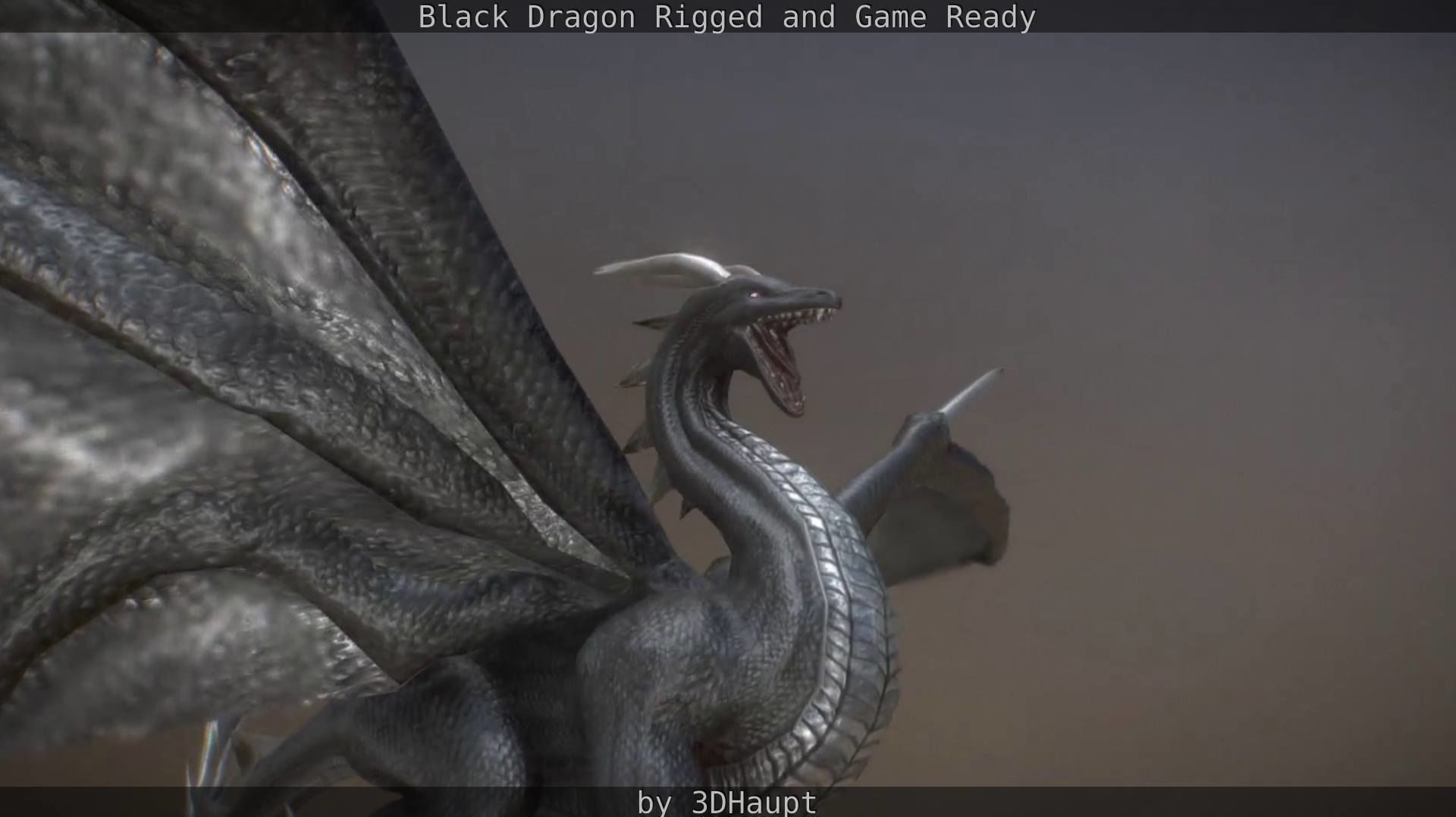 Black Dragon Rigged and Game Ready Low-poly 3D model_70