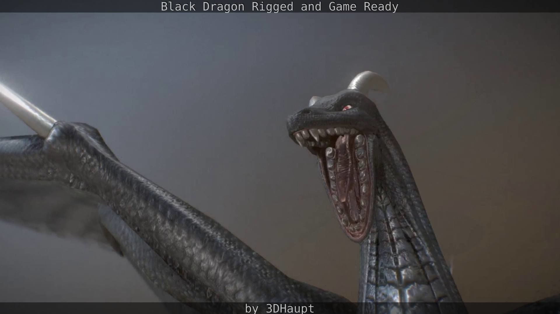 Black Dragon Rigged and Game Ready Low-poly 3D model_85