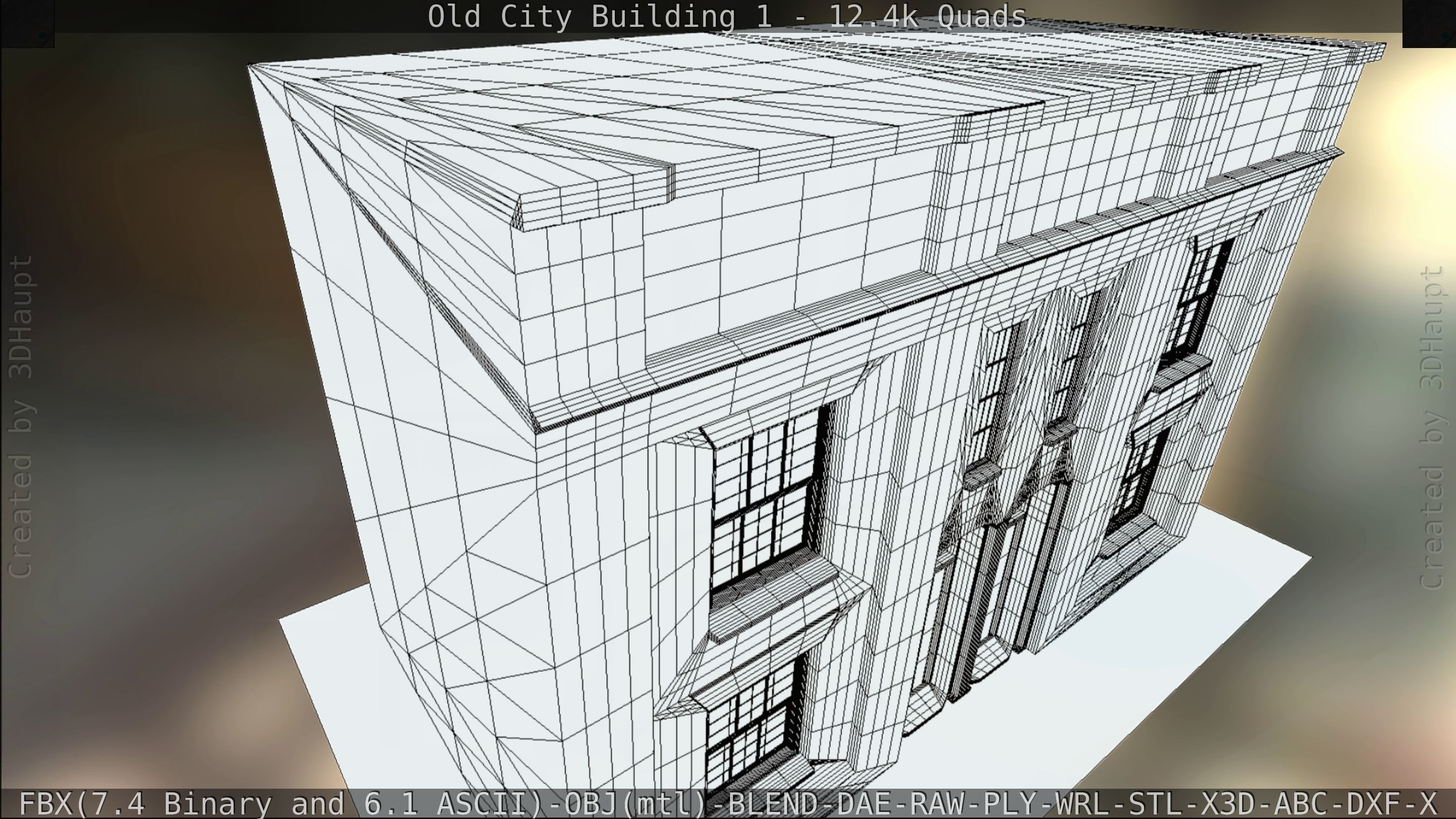 Old City Building 1 Low-poly 3D model_102