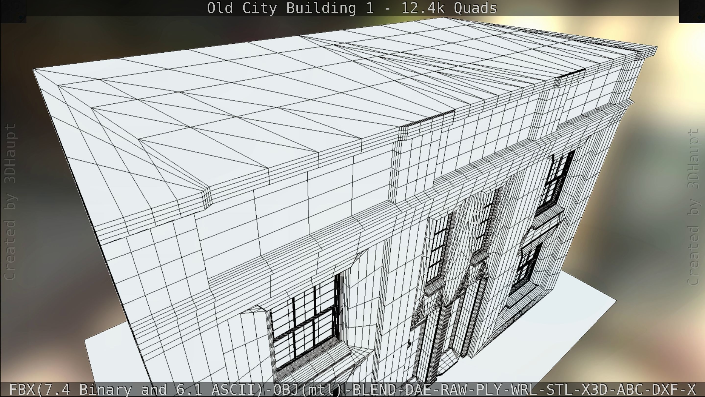 Old City Building 1 Low-poly 3D model_106
