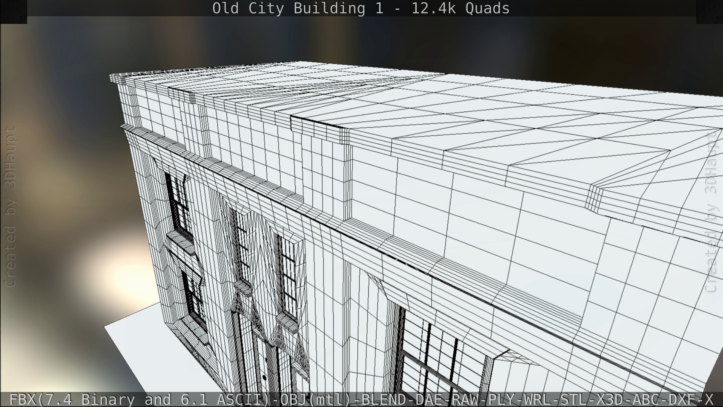 Old City Building 1 Low-poly 3D model_110