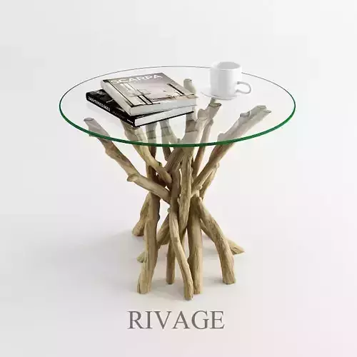 RIVAGE coffee table with branches 3D model