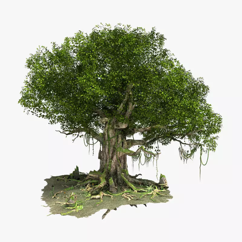 Fantastic Tree Model 3D model