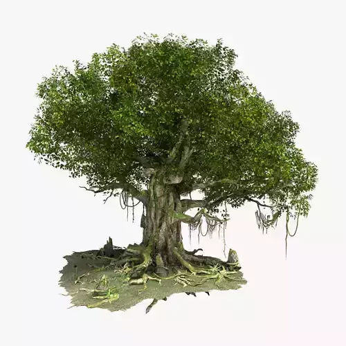 Fantastic Tree Model 3D model