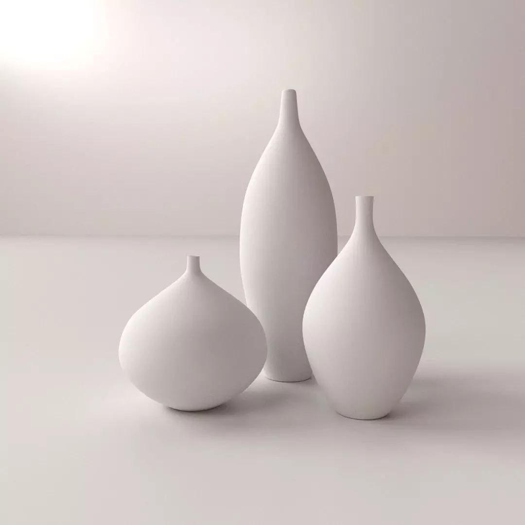 Modern Vases 3D model
