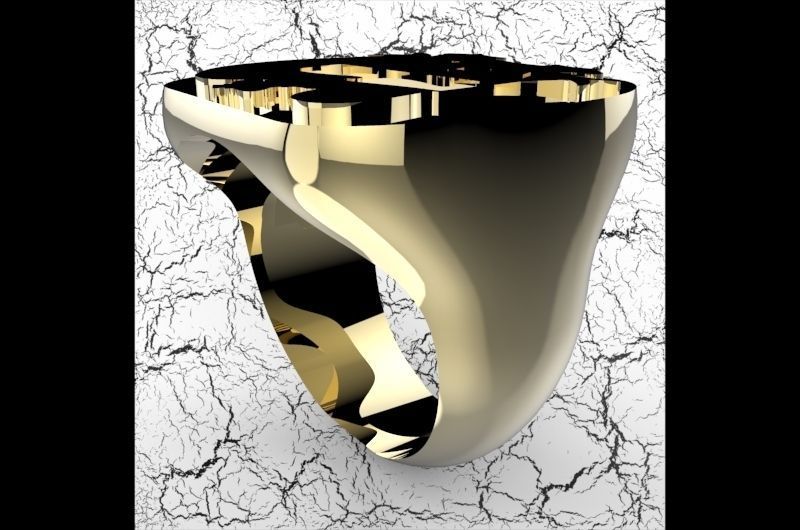 Signet s100 3D print model_6