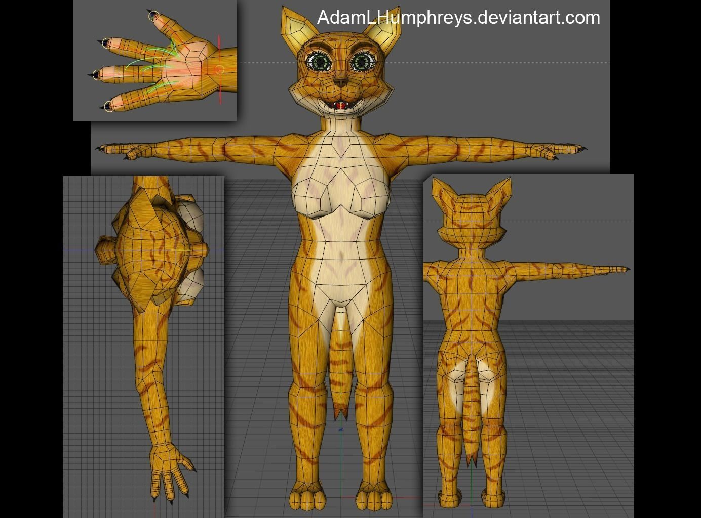 Anthro Female Cat Feline Rigged Cartoon T-pose Model 3D model_3