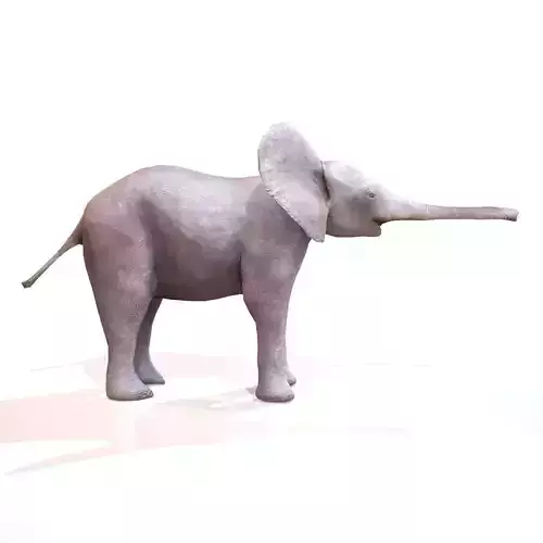 Baby Elephant Low-poly 3D model