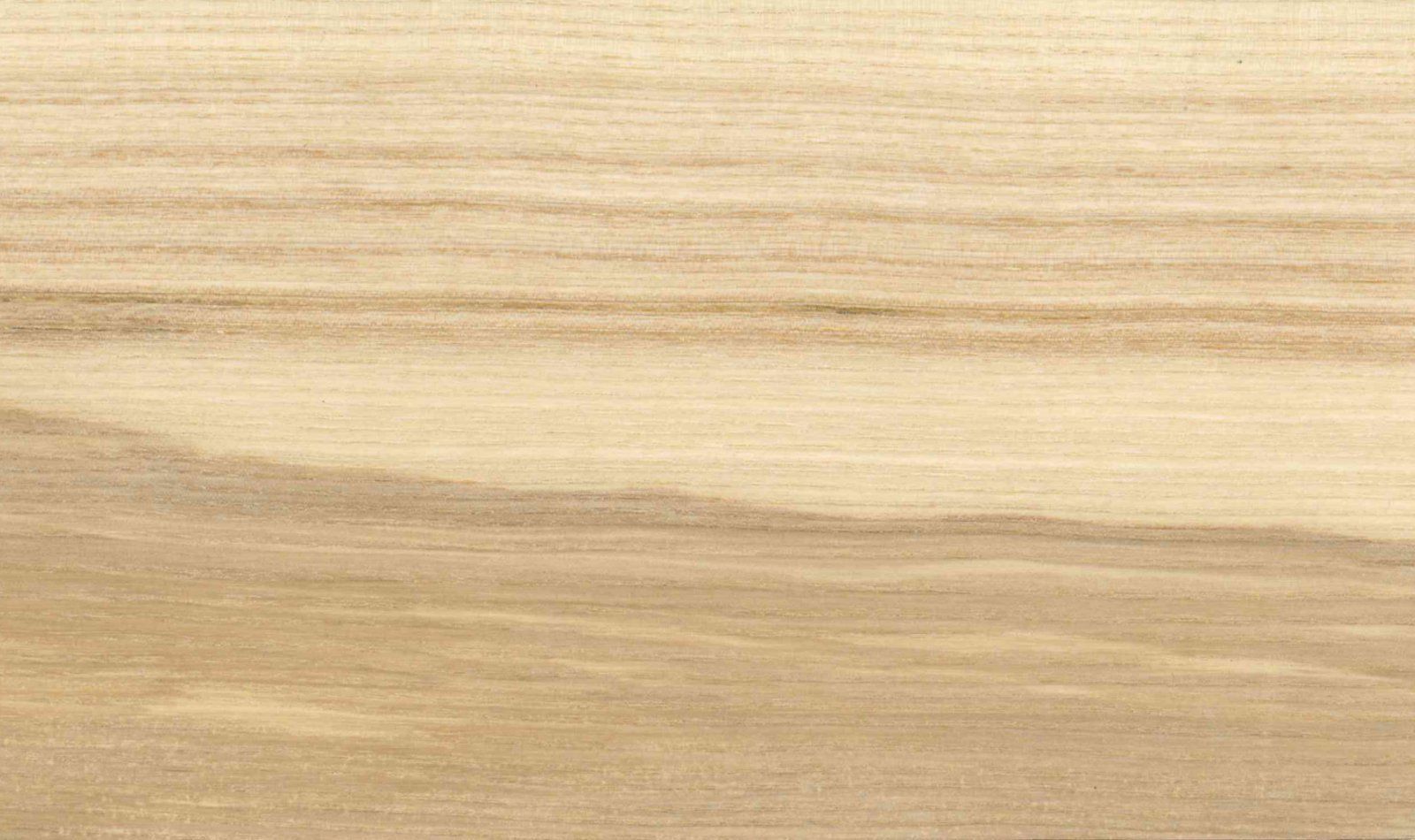 BLOOM CALLIGARIS 3D model_9