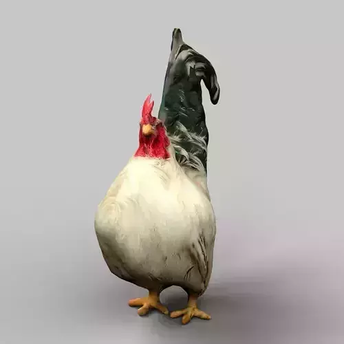 Cock Rooster Low-poly 3D model